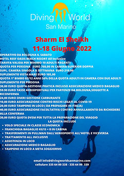 Sharm  El Sheikh